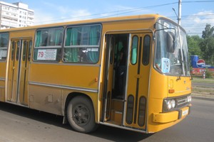 Динозавры живы